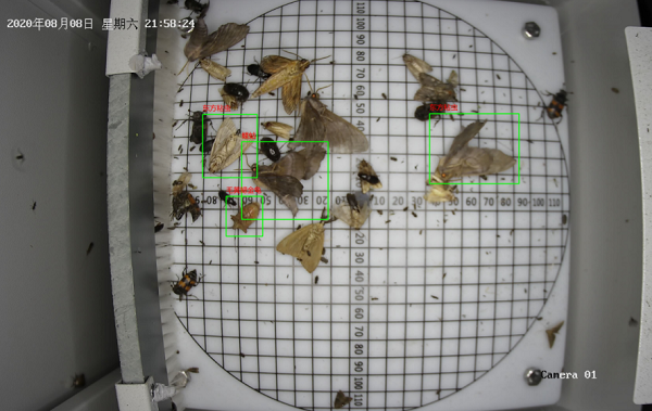 機(jī)場蟲情監(jiān)測設(shè)備圖片1