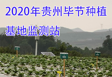 2020年貴州畢節種植基地監測站